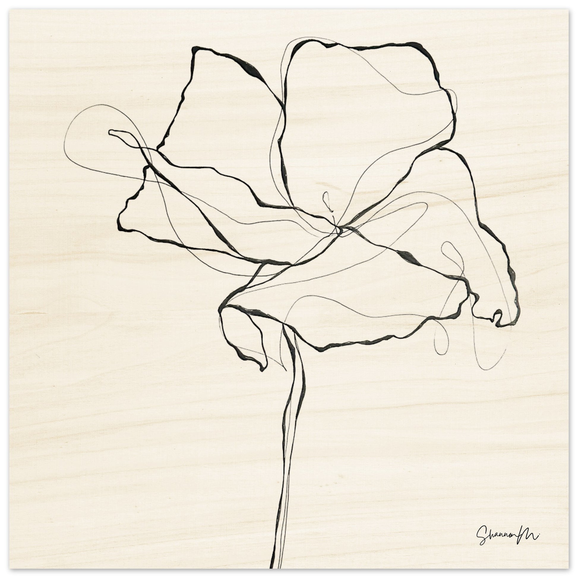 2cac4405-d0fa-44f2-95a5-a6255a7eae59