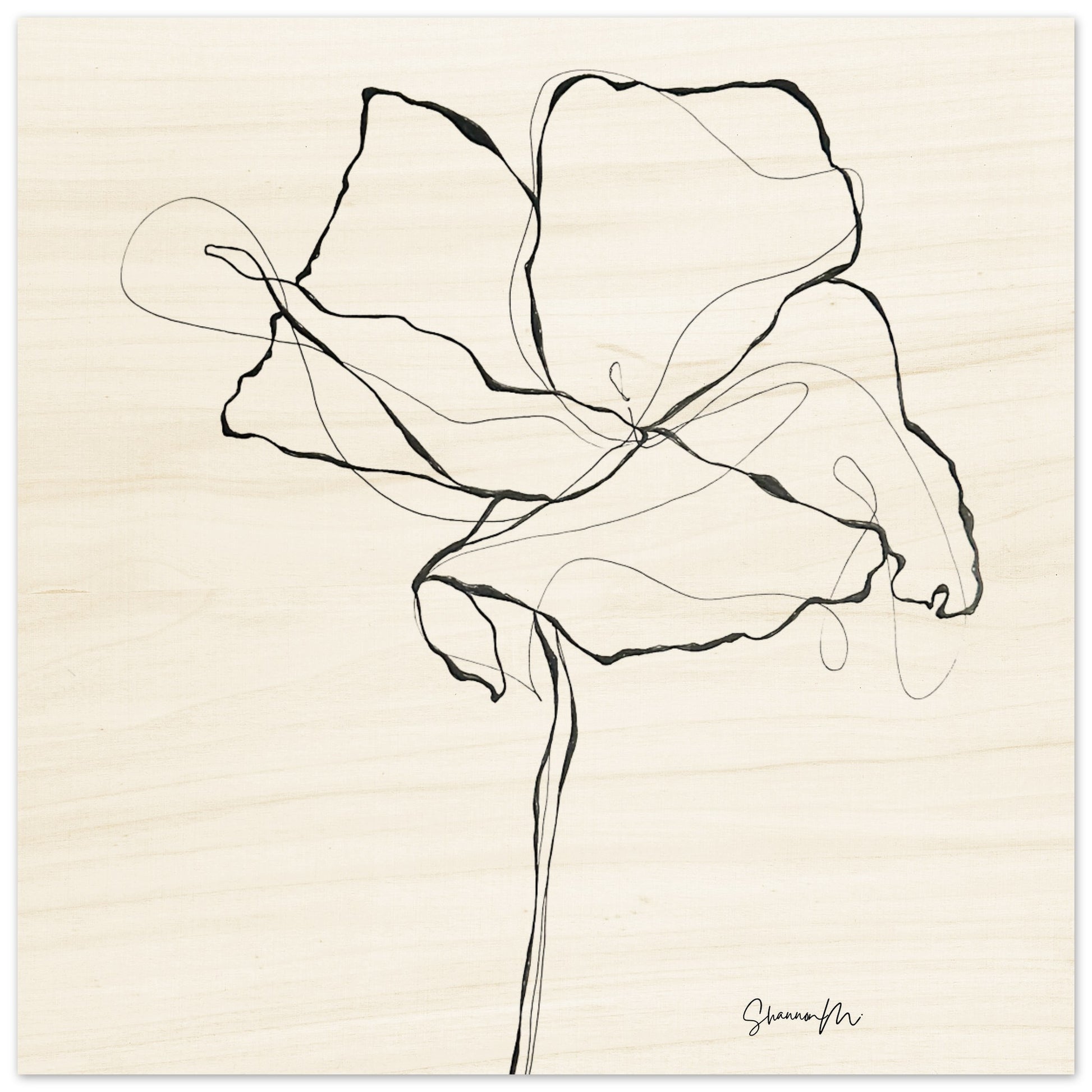 e2788b93-4617-455d-a478-323771ac2bfa